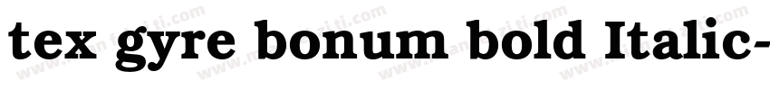 tex gyre bonum bold Italic字体转换
